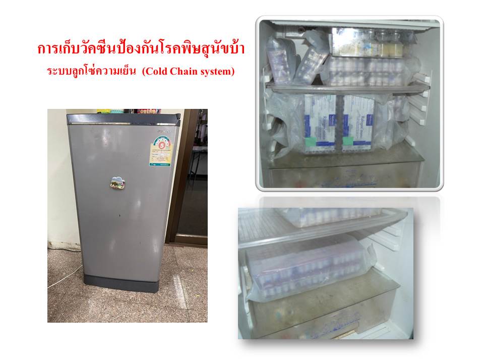 การจัดเก็บวัคซีนป้องกันโรคพิษสุนัขบ้า ระบบลูกโซ่ความเย็น (Cold Chain system)